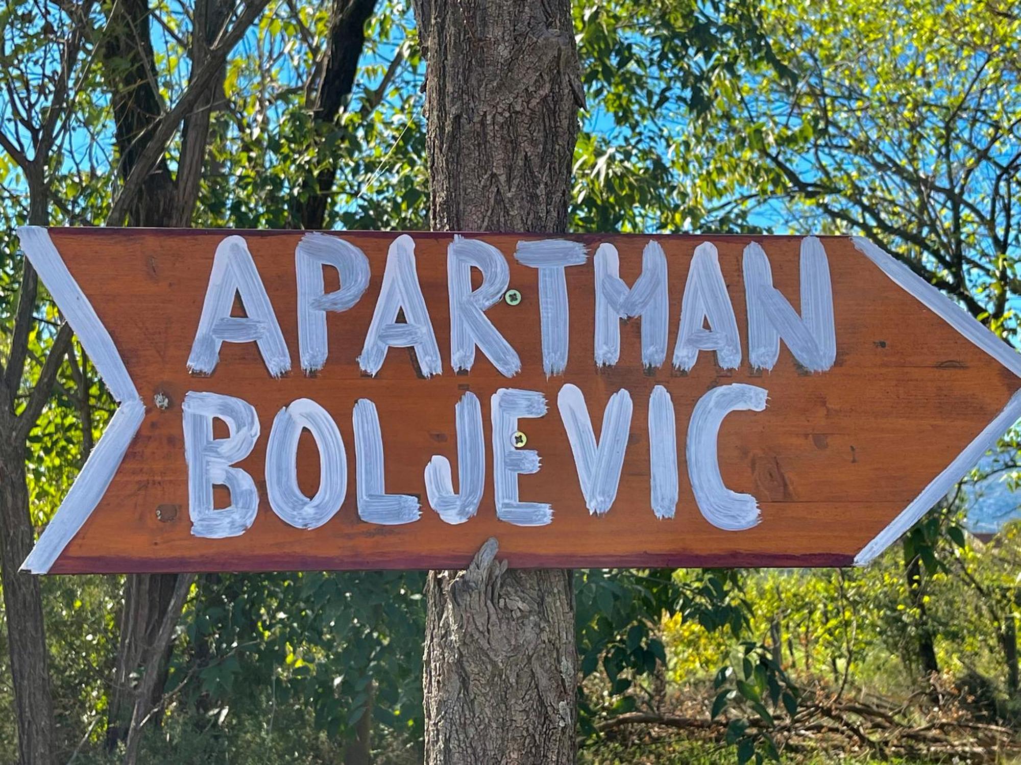 Apartman Boljevic Podgorica Esterno foto